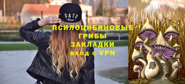 трава Балахна