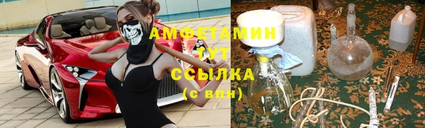трава Балахна