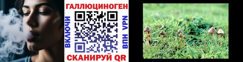 Галлюциногенные грибы MAGIC MUSHROOMS  Котельниково 